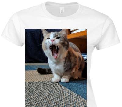 Custom Womens Soft Style 100% Cotton White T-Shirt