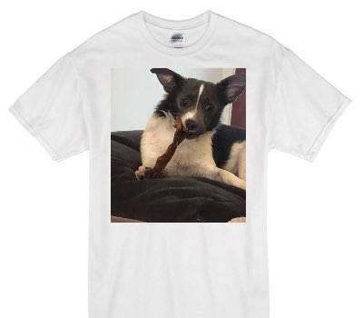Custom Gildan 100% Cotton White T-Shirt