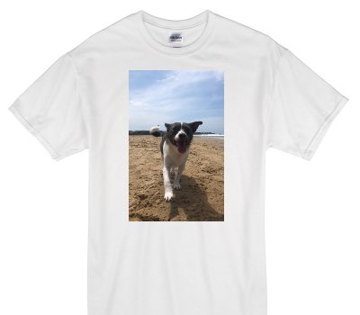 Custom Gildan 100% Cotton White T-Shirt