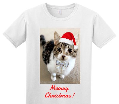 Custom Adult Soft Style 100% Cotton White T-Shirt