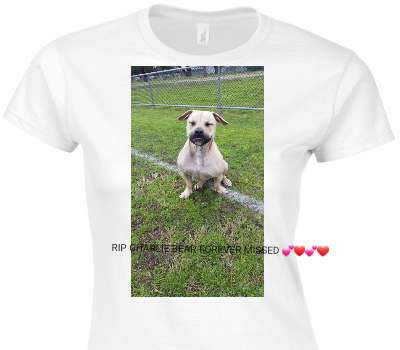 Custom Womens Soft Style 100% Cotton White T-Shirt