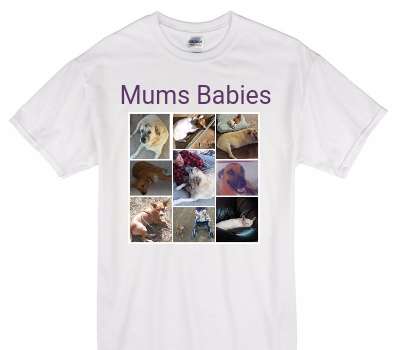 Custom Gildan 100% Cotton White T-Shirt