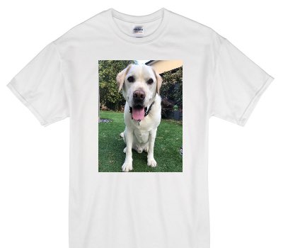Custom Gildan 100% Cotton White T-Shirt