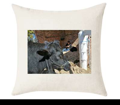 Custom Cushion Cover 50cm x 50 cm Off White