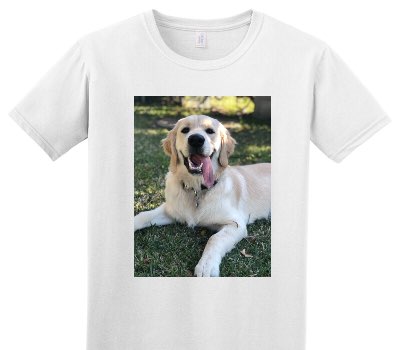 Custom Adult Soft Style 100% Cotton White T-Shirt