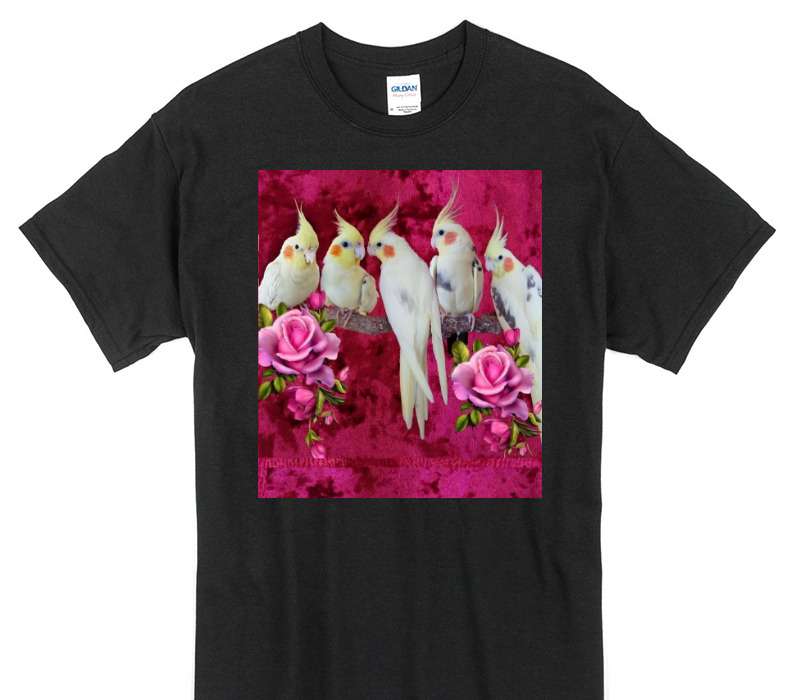 Custom Gildan 100% Cotton Black T-Shirt