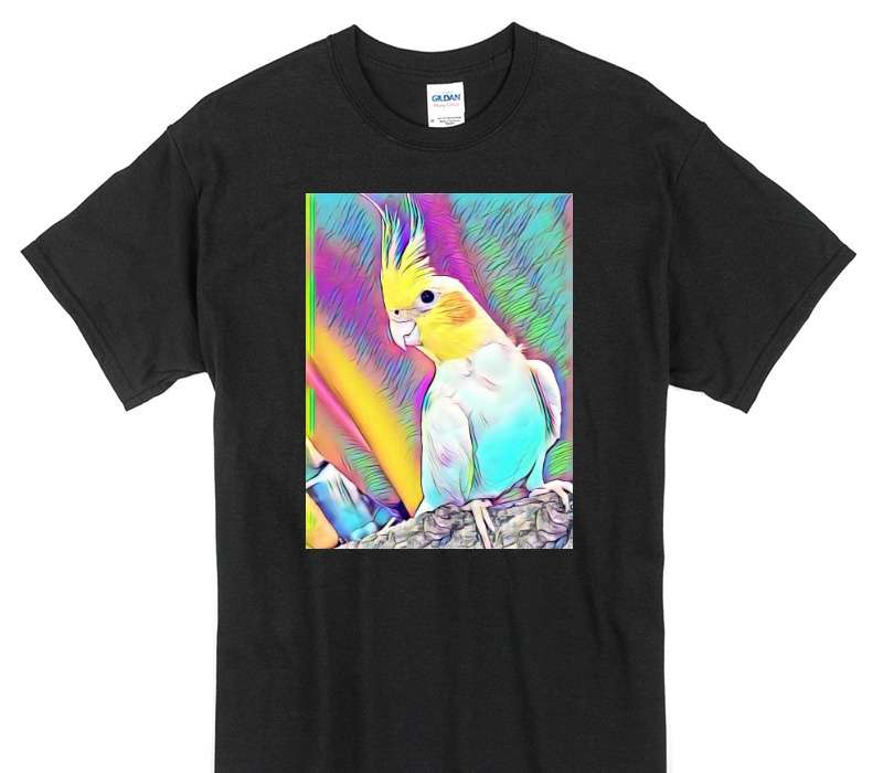 Custom Gildan 100% Cotton Black T-Shirt