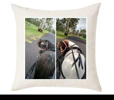 Custom Cushion Cover 50cm x 50 cm Off White