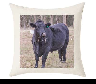 Custom Cushion Cover 50cm x 50 cm Off White