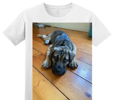 Custom Adult Soft Style 100% Cotton White T-Shirt