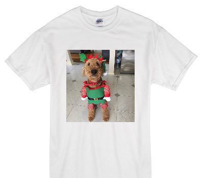 Custom Gildan 100% Cotton White T-Shirt