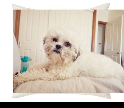 Custom Cushion Cover 50cm x 50 cm Off White