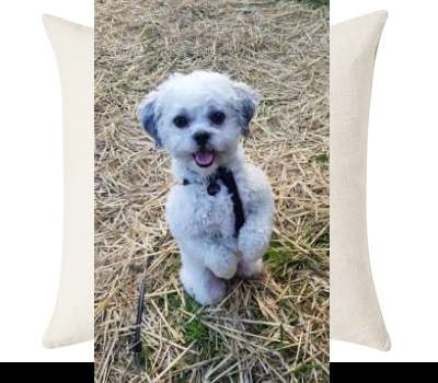 Custom Cushion Cover 50cm x 50 cm Off White