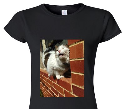 Custom Womens Soft Style 100% Cotton Black T-Shirt