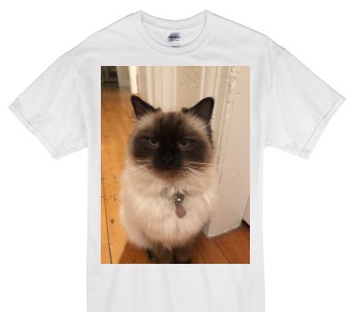 Custom Gildan 100% Cotton White T-Shirt