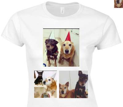 Custom Womens Soft Style 100% Cotton White T-Shirt