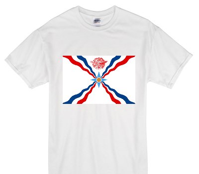 Custom Gildan 100% Cotton White T-Shirt