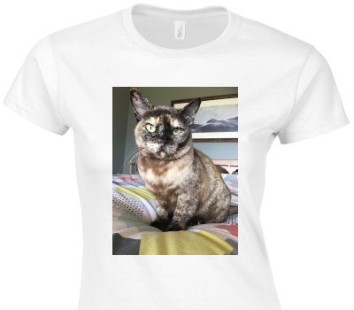 Custom Womens Soft Style 100% Cotton White T-Shirt