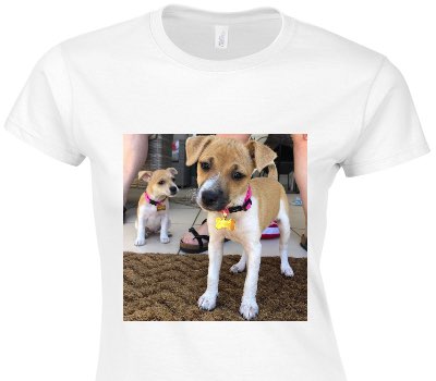 Custom Womens Soft Style 100% Cotton White T-Shirt