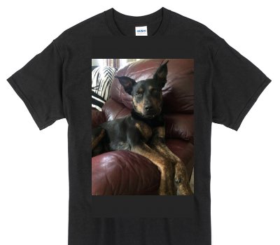 Custom Gildan 100% Cotton Black T-Shirt
