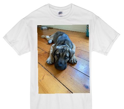Custom Gildan 100% Cotton White T-Shirt