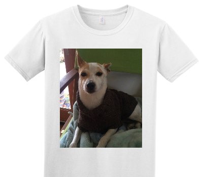 Custom Adult Soft Style 100% Cotton White T-Shirt