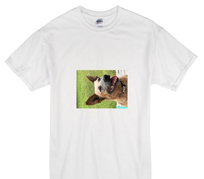 Custom Gildan 100% Cotton White T-Shirt