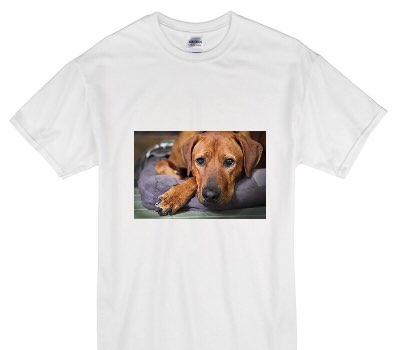 Custom Gildan 100% Cotton White T-Shirt
