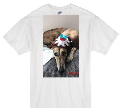 Custom Gildan 100% Cotton White T-Shirt