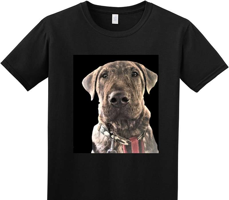 Custom Adult Soft Style 100% Cotton Black T-Shirt