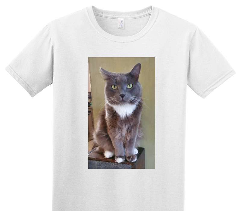 Custom Adult Soft Style 100% Cotton White T-Shirt