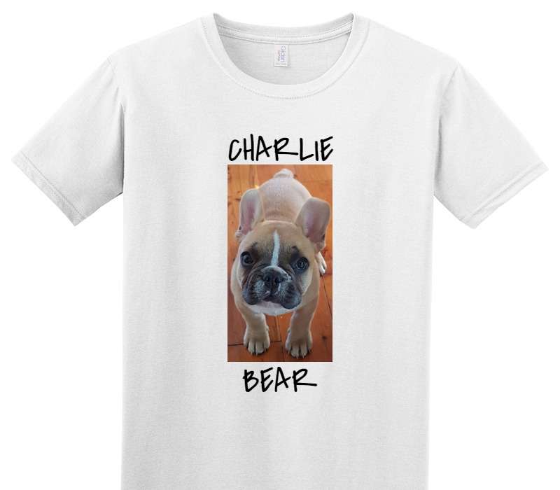 Custom Adult Soft Style 100% Cotton White T-Shirt