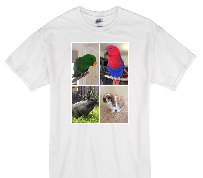 Custom Gildan 100% Cotton White T-Shirt