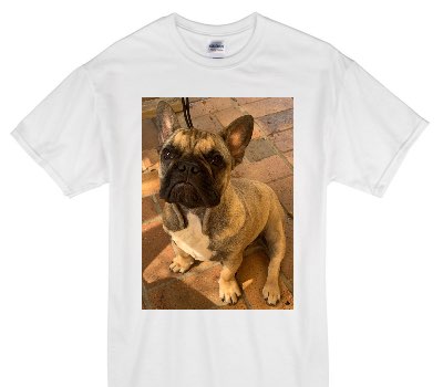 Custom Gildan 100% Cotton White T-Shirt