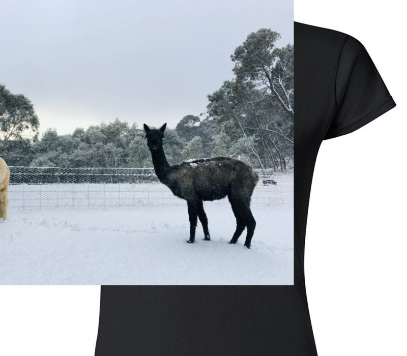 Custom Womens Soft Style 100% Cotton Black T-Shirt