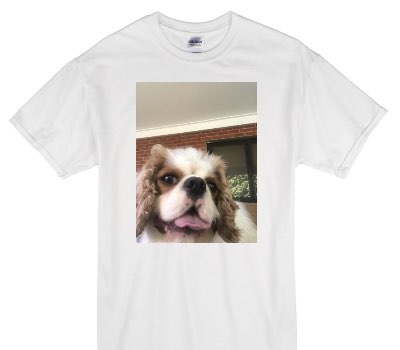 Custom Gildan 100% Cotton White T-Shirt