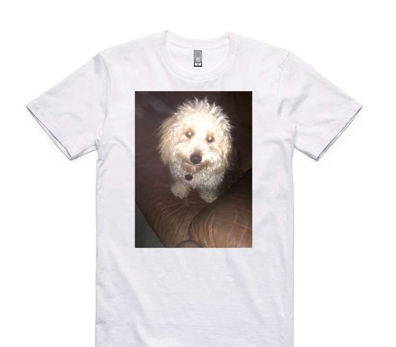 Custom AS Colour 100% Cotton White T-Shirt