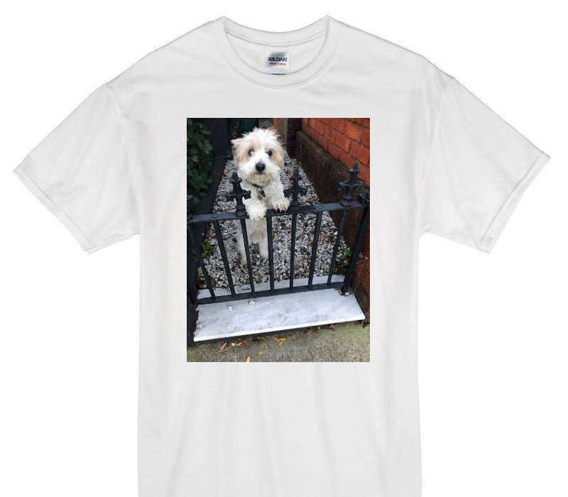 Custom Gildan 100% Cotton White T-Shirt