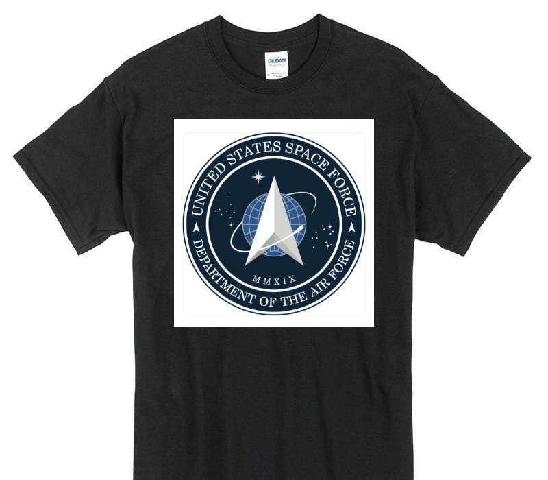 Custom Gildan 100% Cotton Black T-Shirt