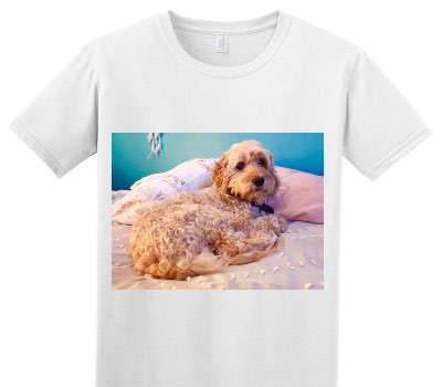 Custom Adult Soft Style 100% Cotton White T-Shirt