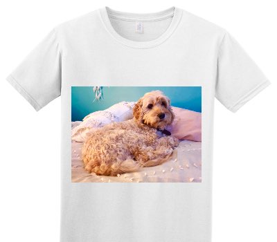 Custom Adult Soft Style 100% Cotton White T-Shirt