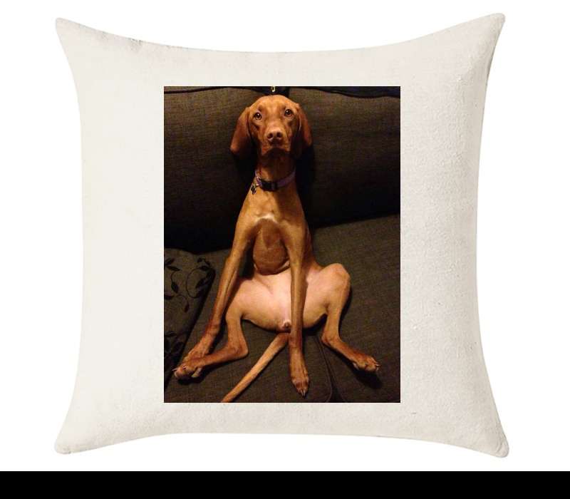 Custom Cushion Cover 50cm x 50 cm Off White