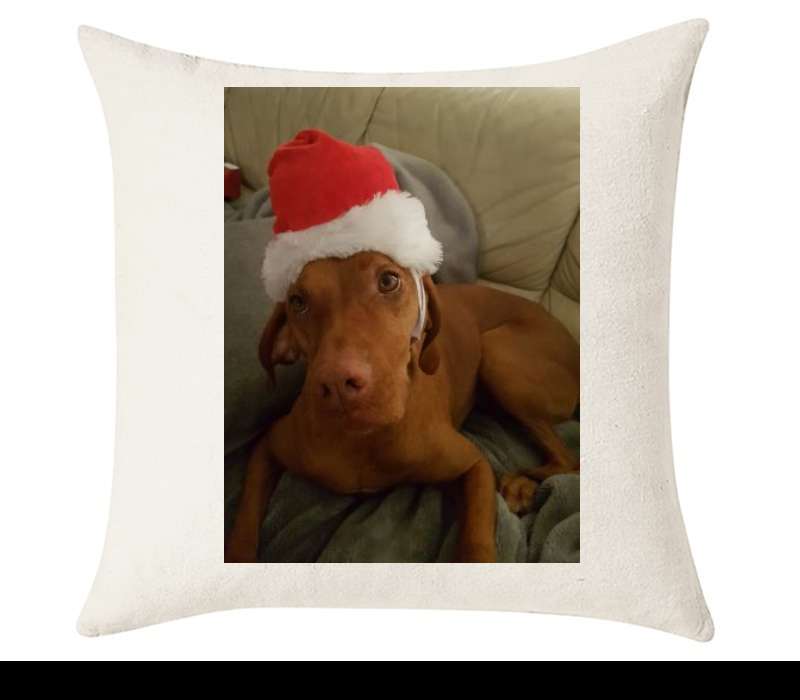 Custom Cushion Cover 50cm x 50 cm Off White