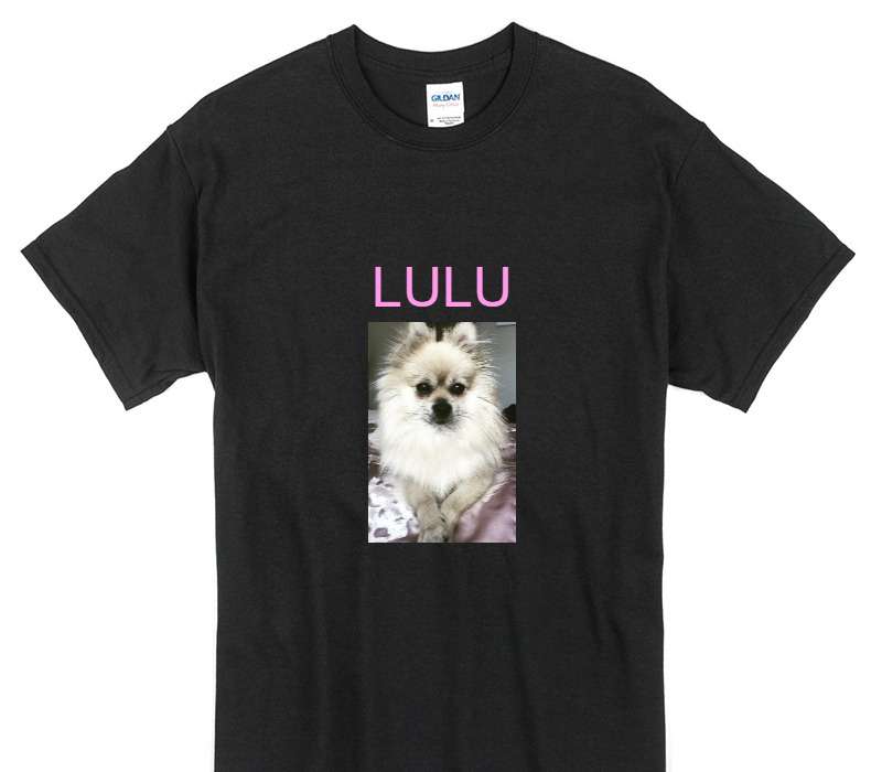 Custom Gildan 100% Cotton Black T-Shirt