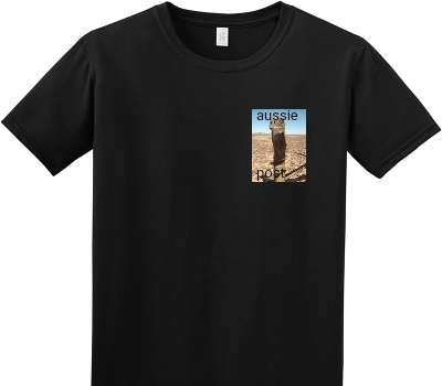 Custom Adult Soft Style 100% Cotton Black T-Shirt