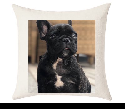 Custom Cushion Cover 50cm x 50 cm Off White