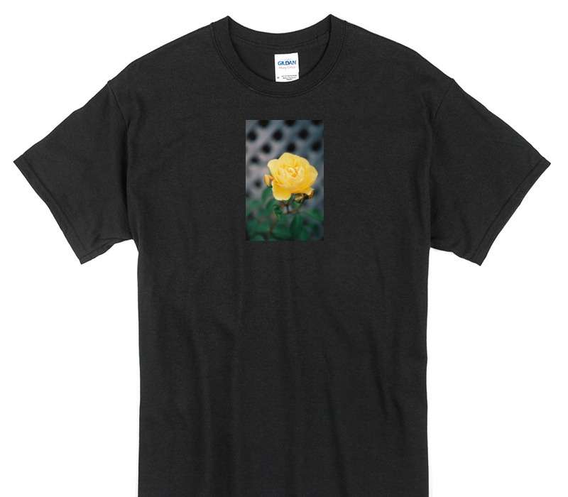 Custom Gildan 100% Cotton Black T-Shirt