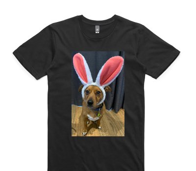 Custom AS Colour 100% Cotton Black T-Shirt