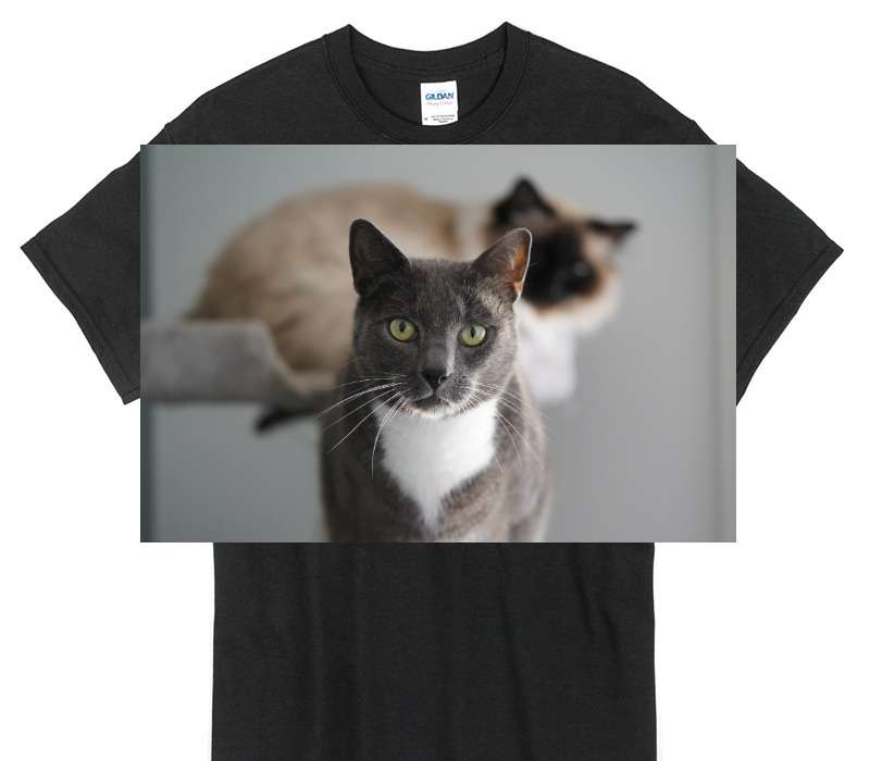 Custom Gildan 100% Cotton Black T-Shirt