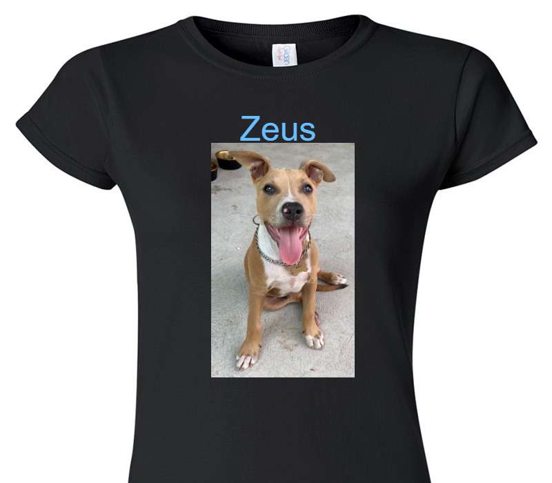 Custom Womens Soft Style 100% Cotton Black T-Shirt